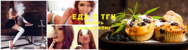 амф Новокубанск