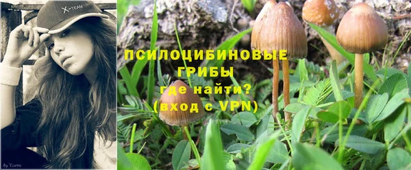 кокаин VHQ Новозыбков