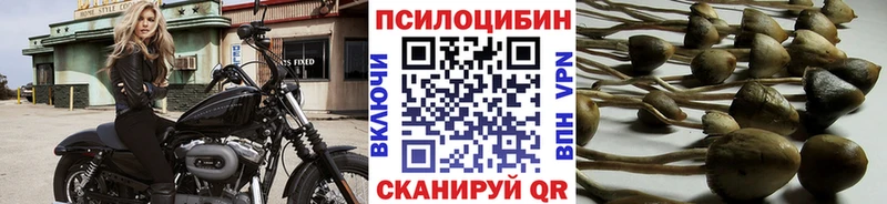Псилоцибиновые грибы ЛСД  что такое   Шлиссельбург 